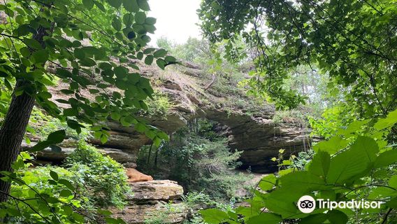 Natural Bridge State Park
