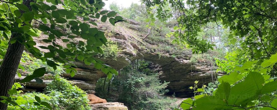Natural Bridge State Park