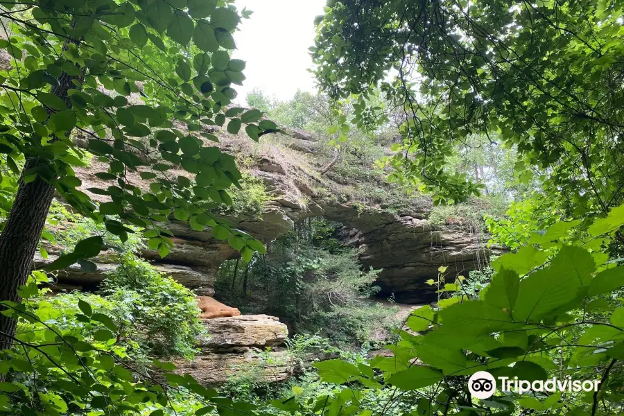 Natural Bridge State Park