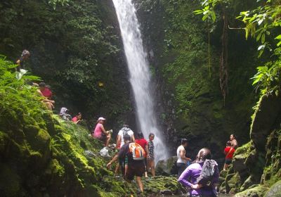 Camarines Norte