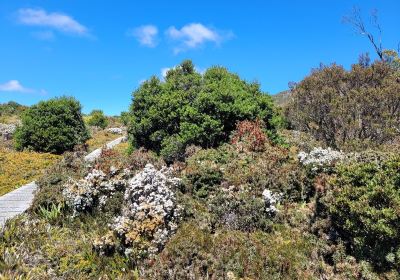 Hartz Mountains National Park