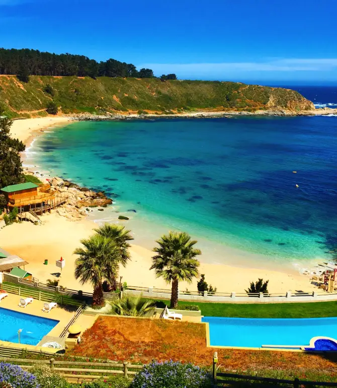 Algarrobo