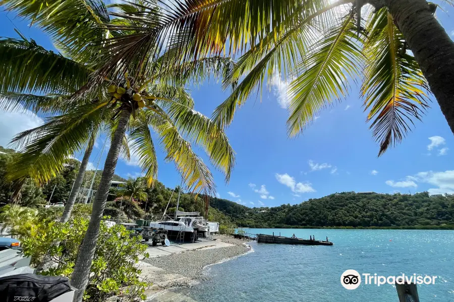 Shute Harbour