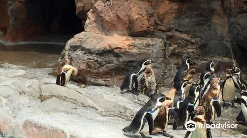 茨城縣大洗水族館