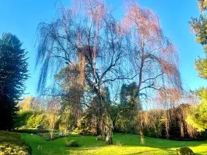Hazlehead Park