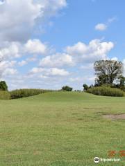 Winterville Mounds