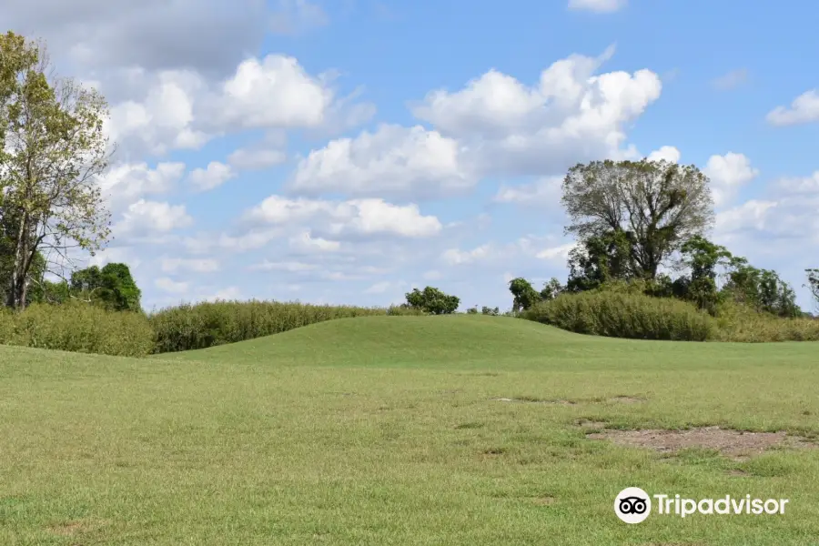 Winterville Mounds