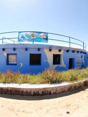 Cabo Verde Diving Hotel Villa do Farol