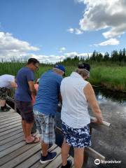 Ominnik Marsh Trail