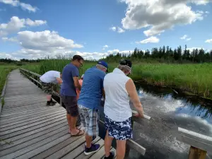 Ominnik Marsh Trail