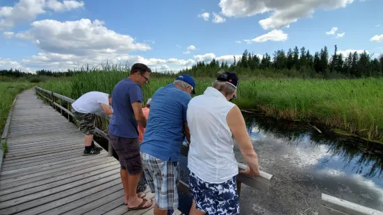 Ominnik Marsh Trail