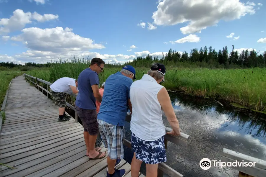 Ominnik Marsh Trail