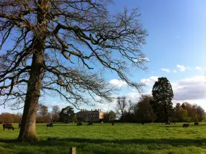 National Trust - Beningbrough Hall, Gallery and Gardens