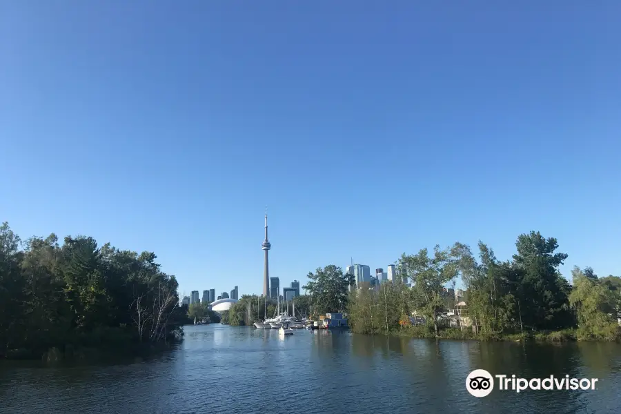 City View Cruise - Ste. Marie 1