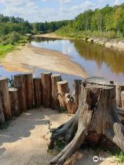 Oksky State Nature Biosphere Reserve