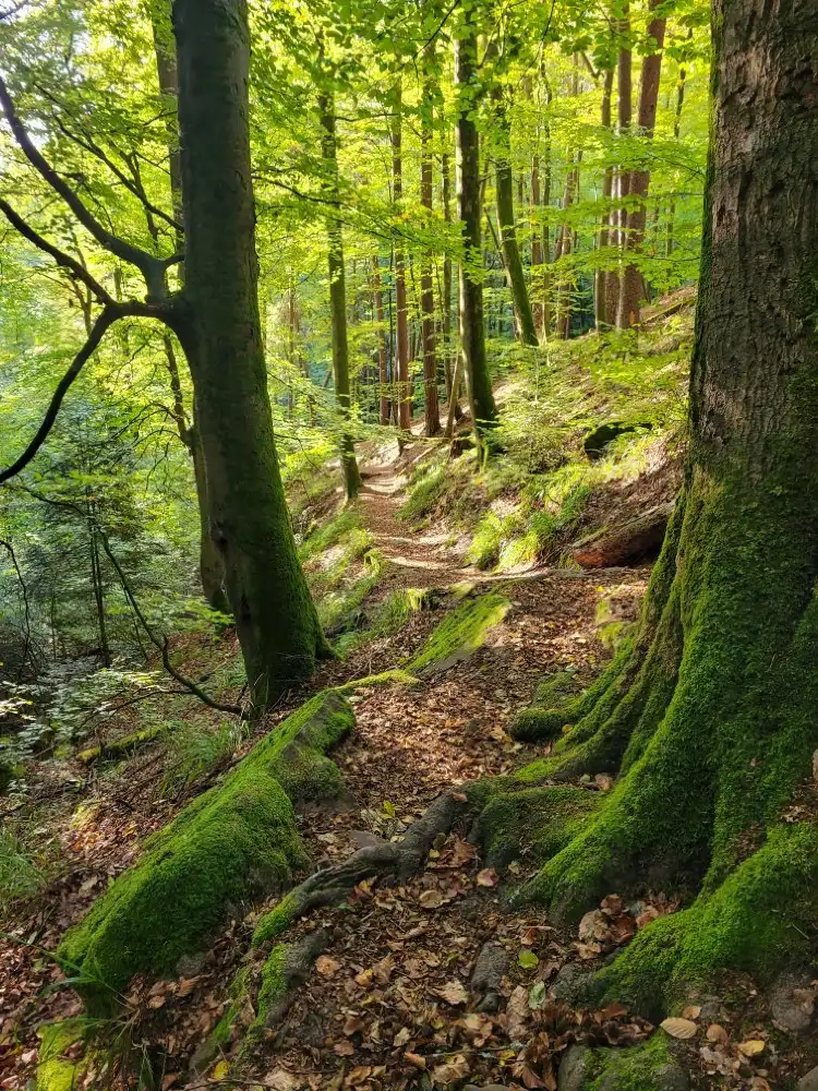Các khách sạn ở Neckar-Odenwald-Kreis