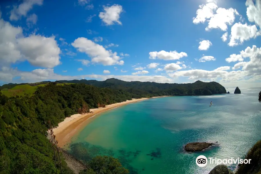 Whangapoua Beach