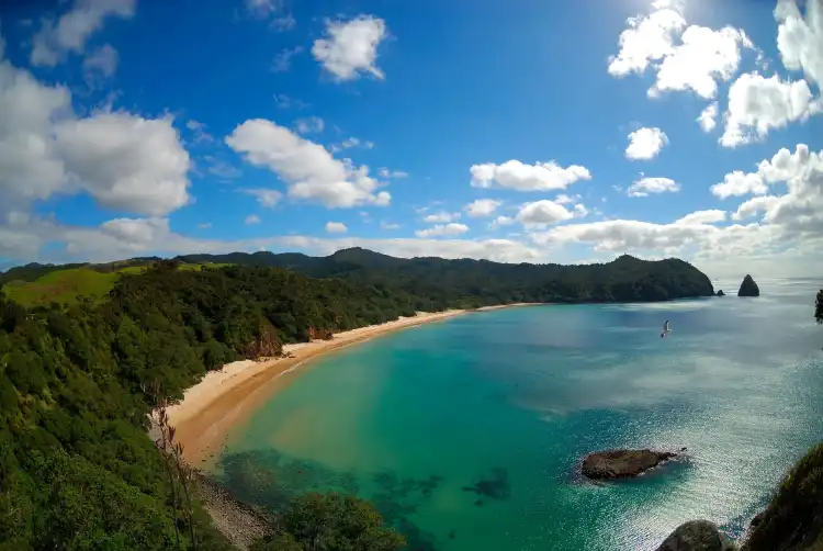 Hotels in Whangapoua