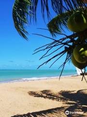 Japaratinga Beach