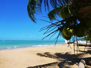 Japaratinga Beach