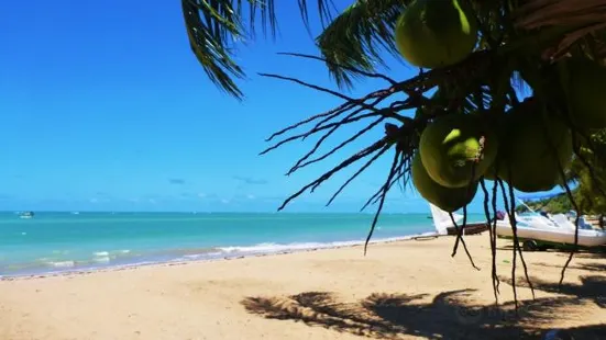 Japaratinga Beach