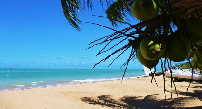 Japaratinga Beach