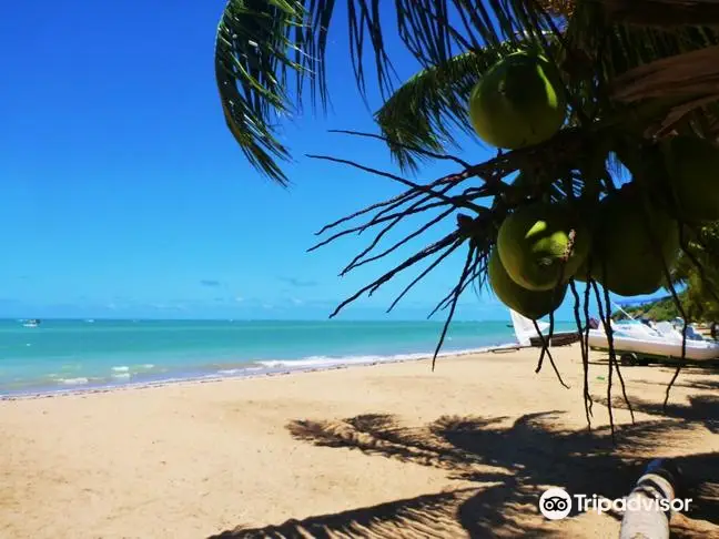 Japaratinga Beach