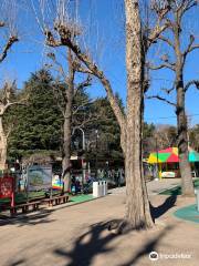 Meijijingu Gaien Nikoniko Park