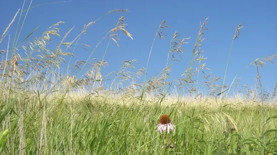 Audubon National Wildlife Refuge Complex