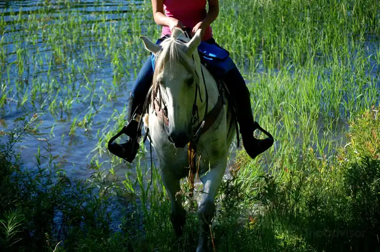 Hotels in Otsego County