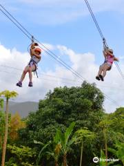 Rainforest Zipline Park