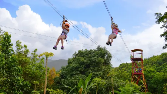 Rainforest Zipline Park