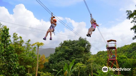 Rainforest Zipline Park