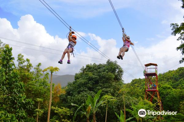 Rainforest Zipline Park