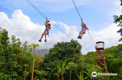 Rainforest Zipline Park