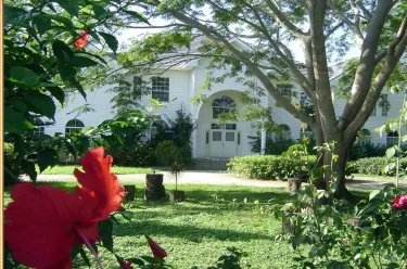 Museum of Nature Artistry