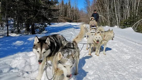 Expedition Mi-Loup Dog Sledding