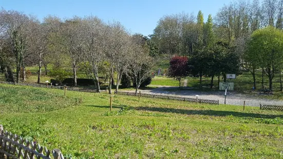 Parc Ducontenia