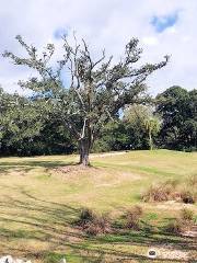 Osceola Municipal Golf Course