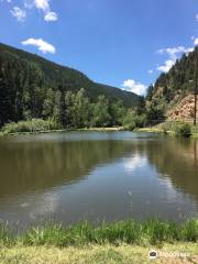 Mount Evans Trout Fishing