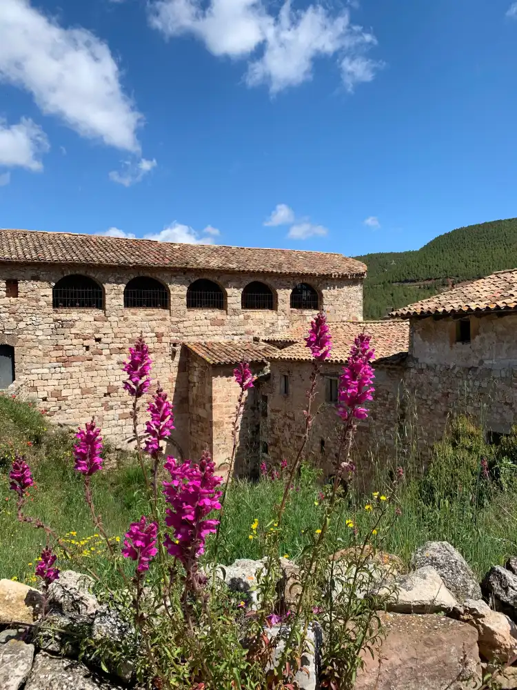 Hotels in San Quintin de Mediona