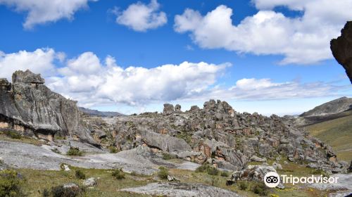 Hatun Machay Rock Forest