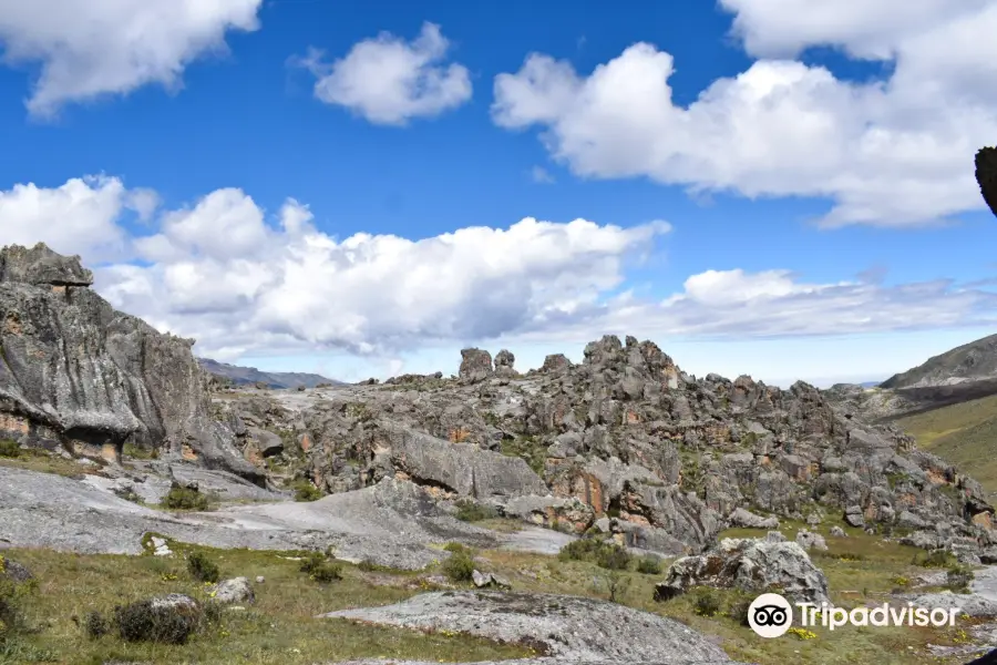 Hatun Machay Rock Forest