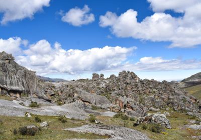 Hatun Machay Rock Forest