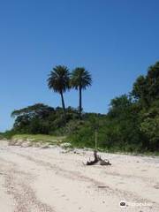 Barra Nova Beach