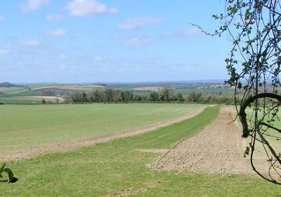 Stockbridge Wildlife and History Walk