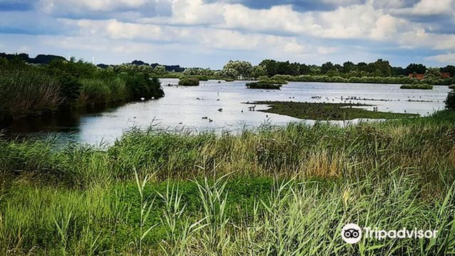 Biologische Station Rieselfelder