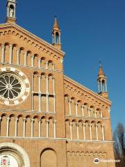 Cathedral of Piove di Sacco