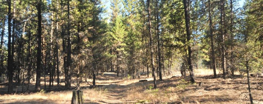Johnstone Creek Provincial Park