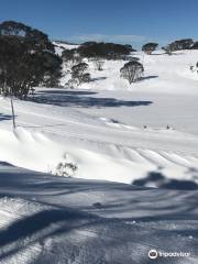 Falls Creek Cross Country